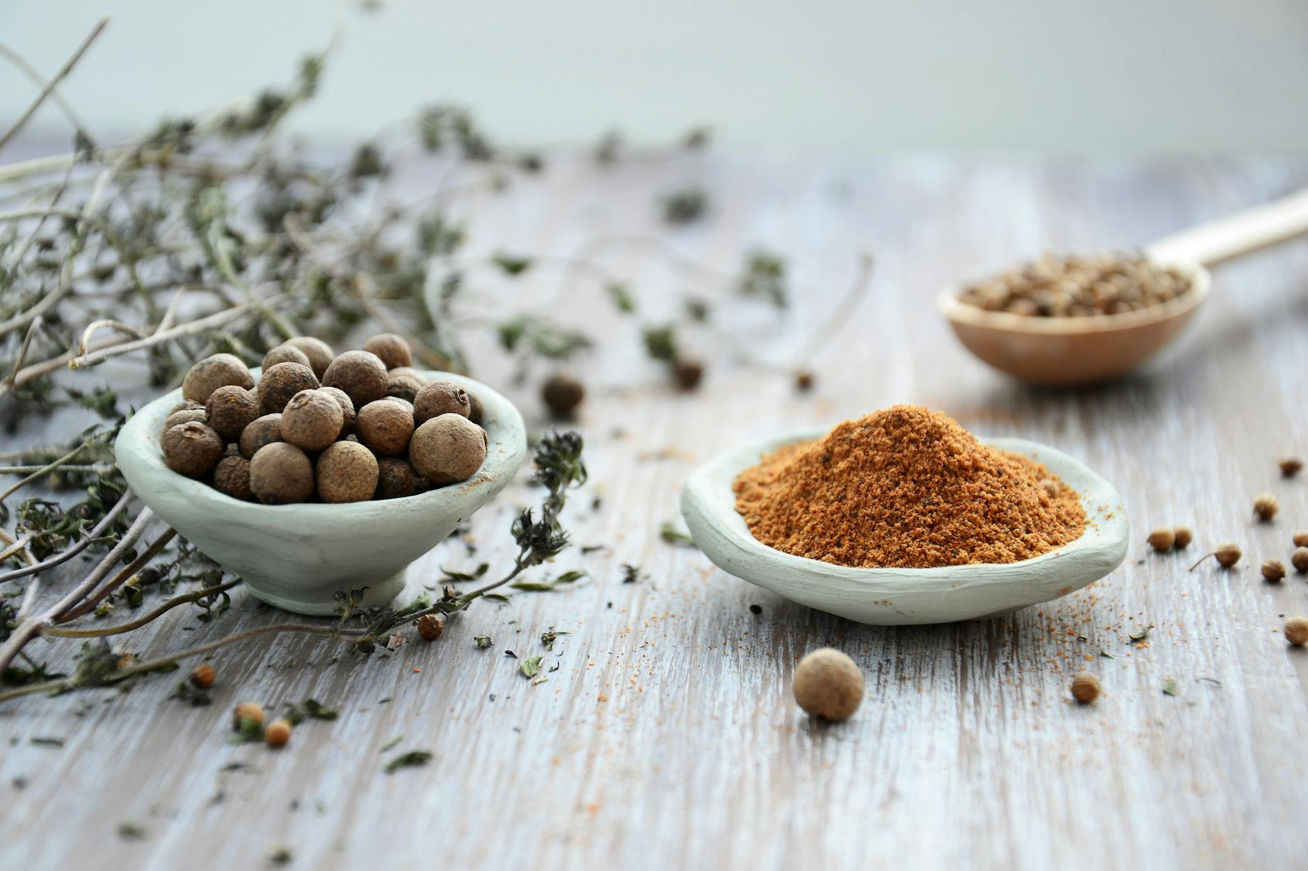 Specific Spices and Foods to Avoid in Your Cat's Diet