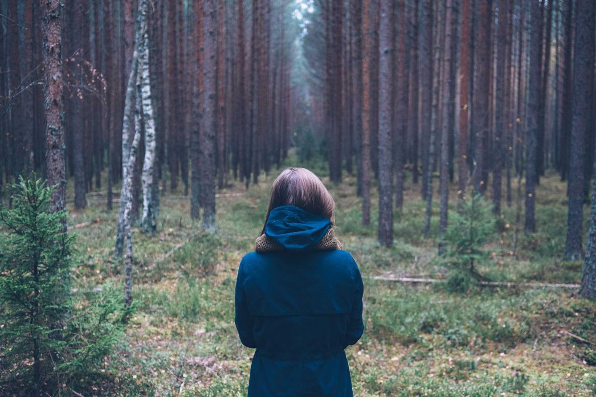 Temperament, Personality, and Behavioral Traits