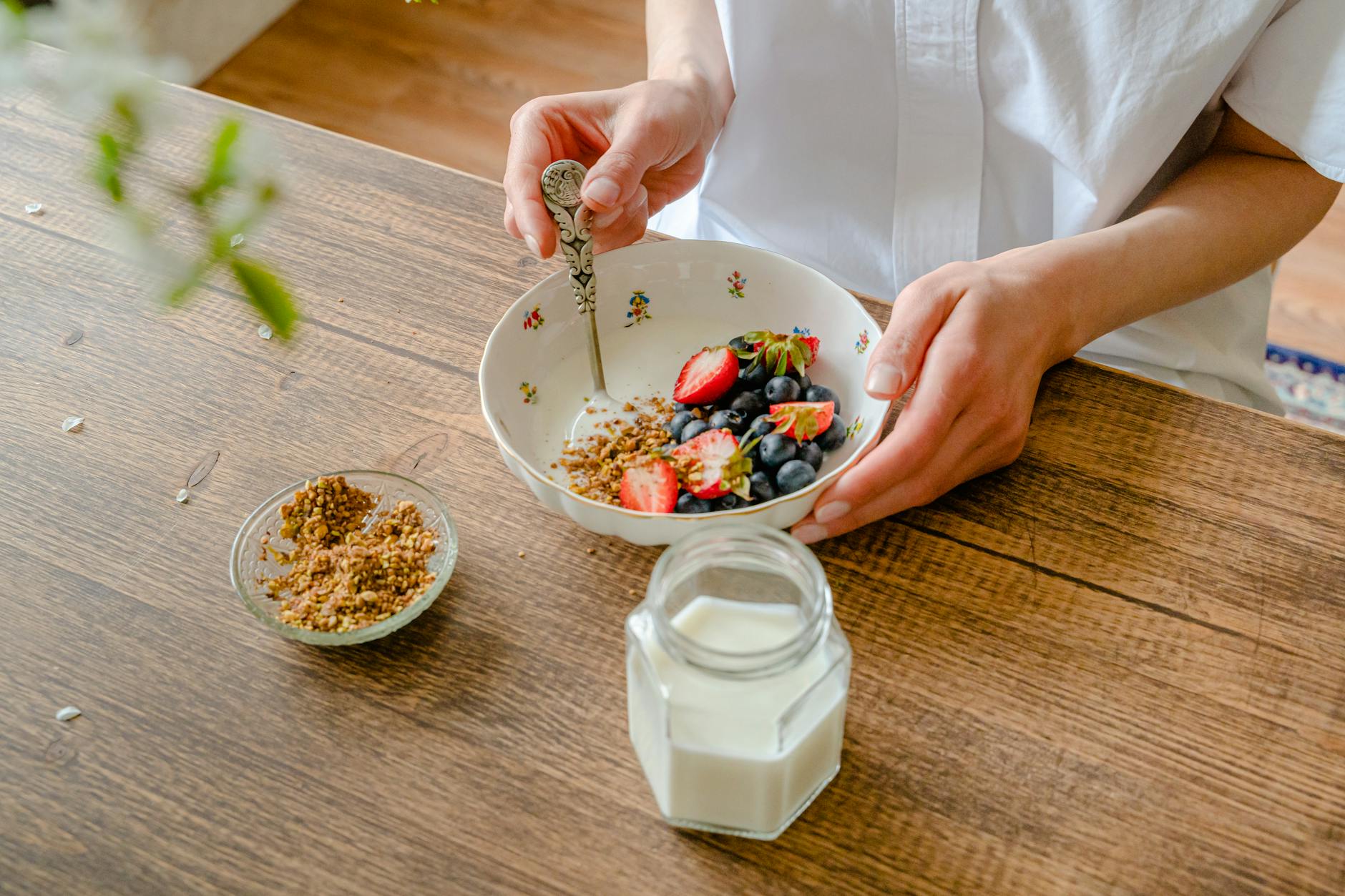 Different Types of Yogurt and Their Safety Profiles for Cats