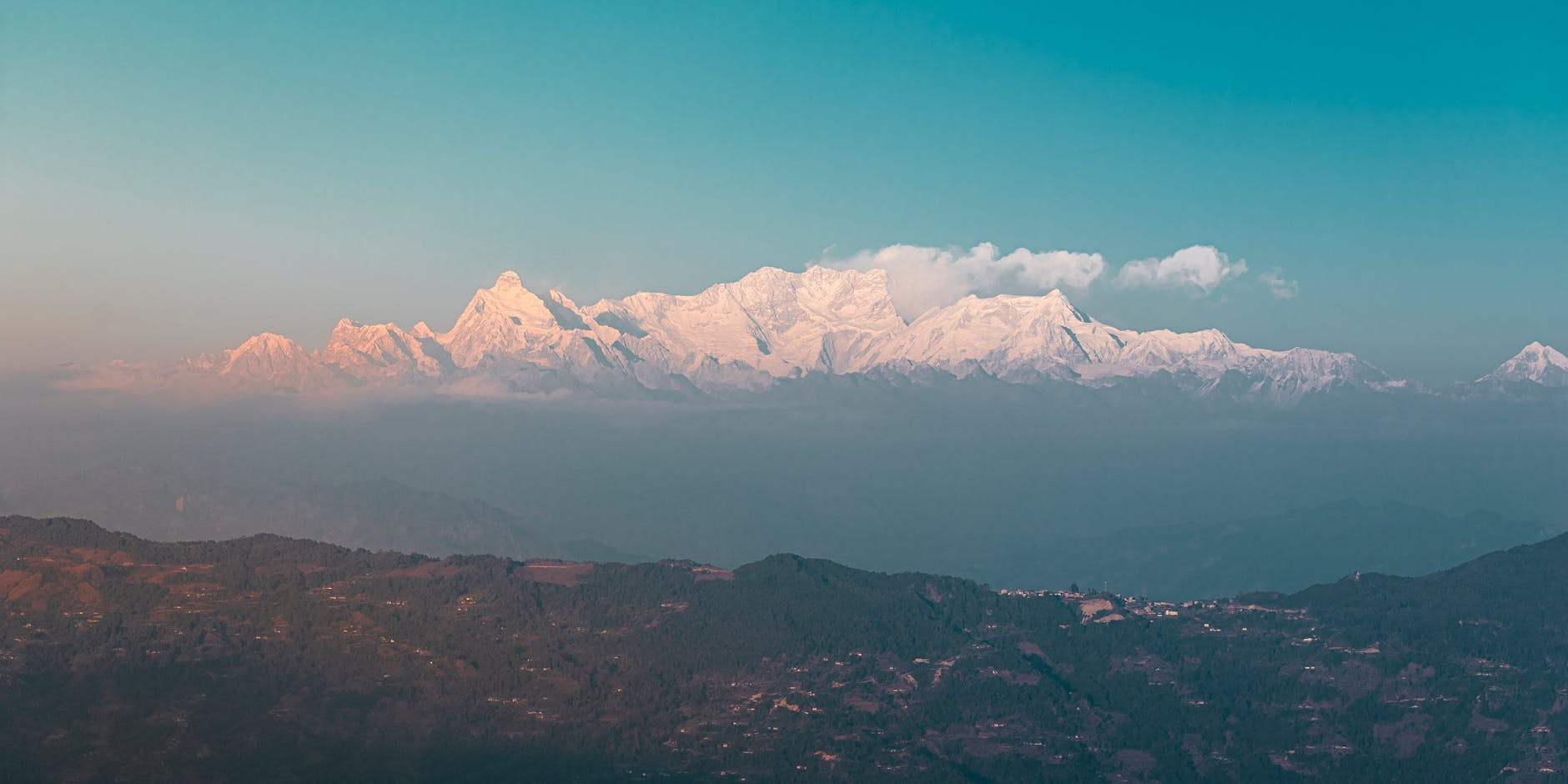 How Are Himalayans Related to Persians?