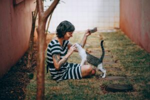 Is It Safe for Cats to Lick Bowls With Guacamole - Featured image