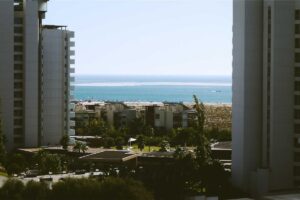 Is It Safe to Share Dishware With Cats If I Towel Dry It - Featured image