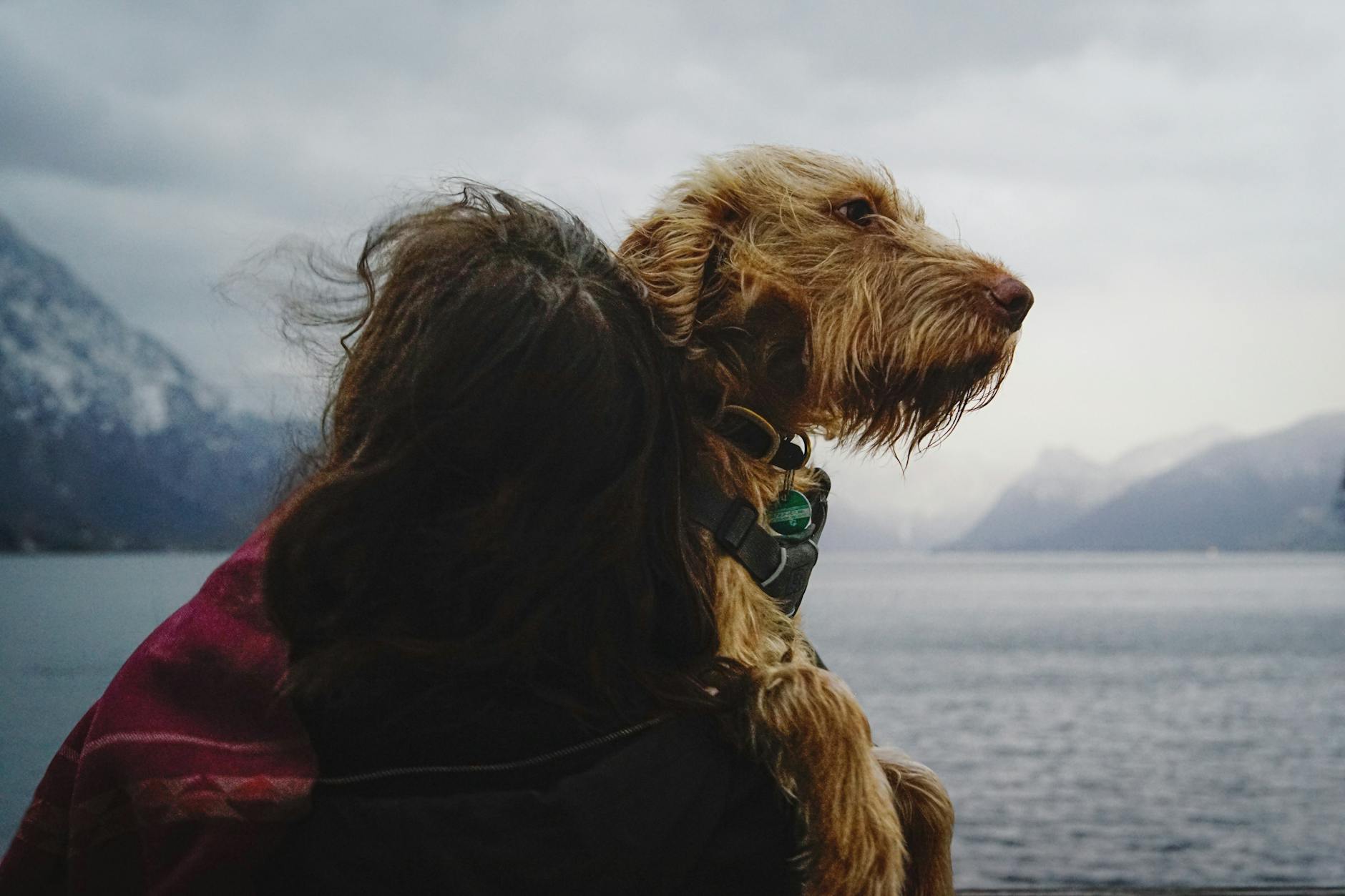 The Physical Presence of a Calm Companion