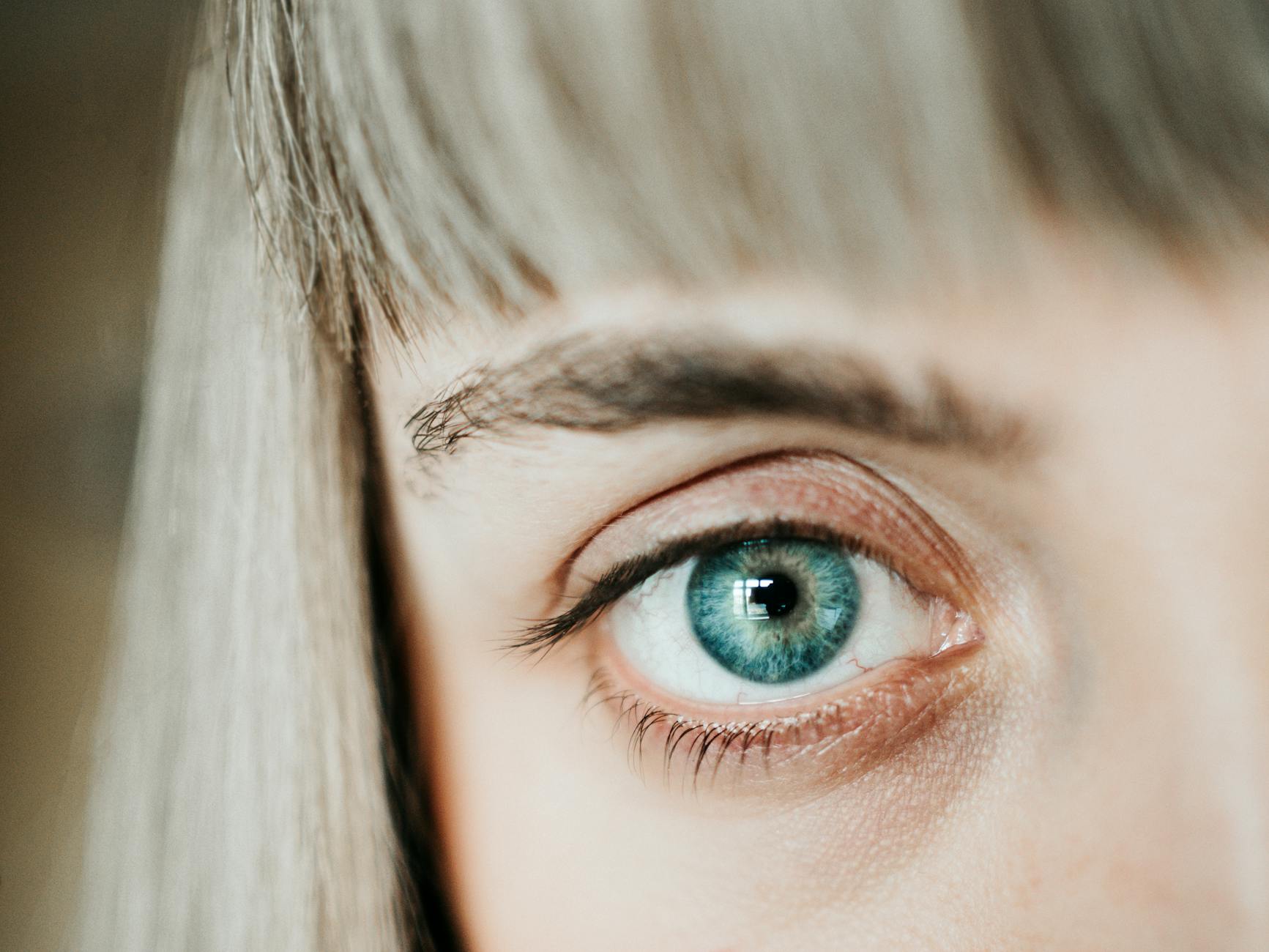The Ragdoll Personality: Why Blue Eyes Are Just the Beginning