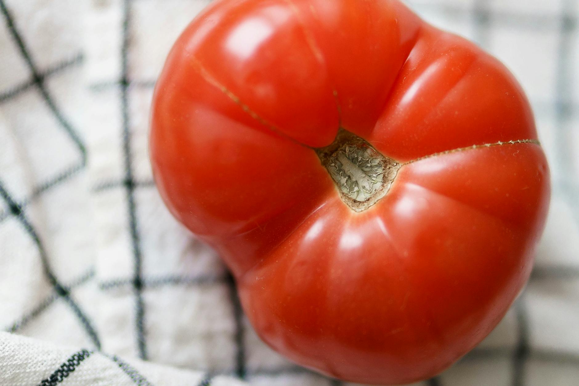 What Ingredients in Tomato Sauce Are Dangerous for Cats?