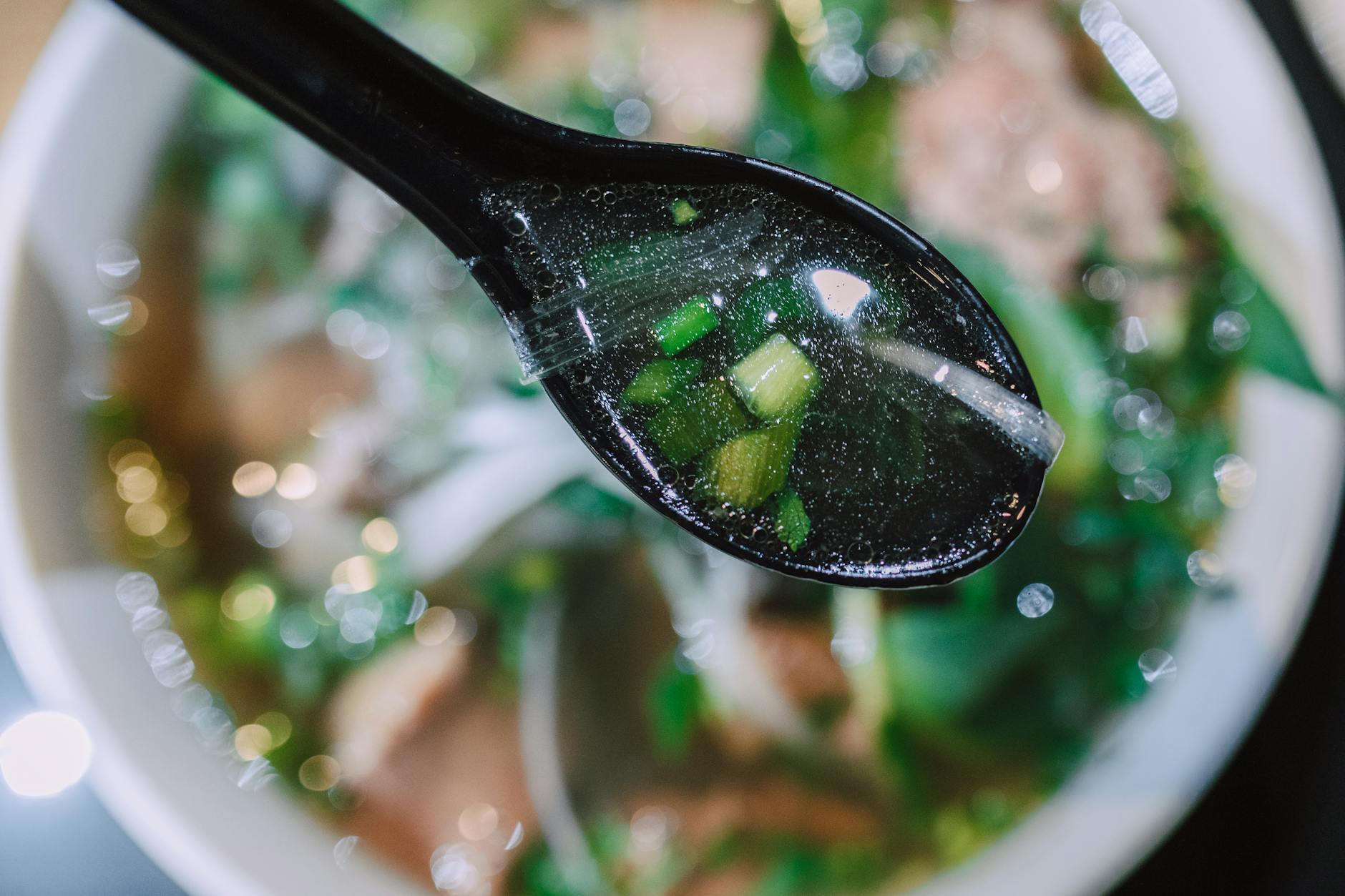 What Soup Ingredients Are Actually Toxic to Cats?