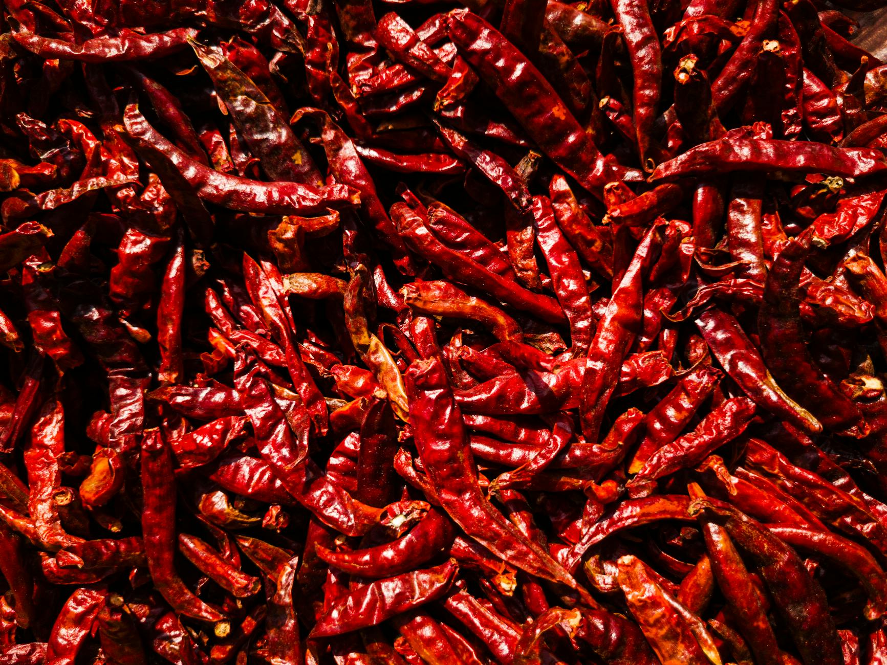 Why Capsaicin and Spicy Foods Are Toxic to Cats