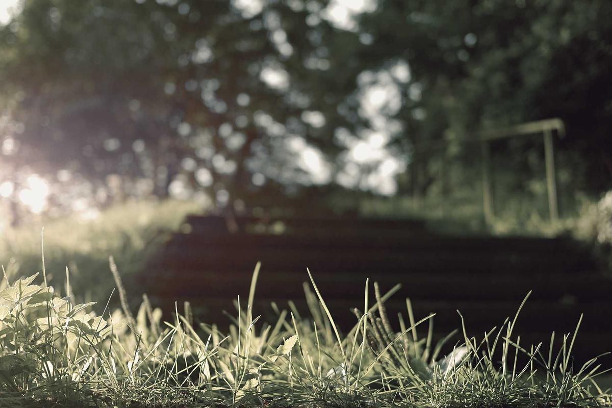 Common Misdiagnoses and Why Owners Are Confused About the Severity