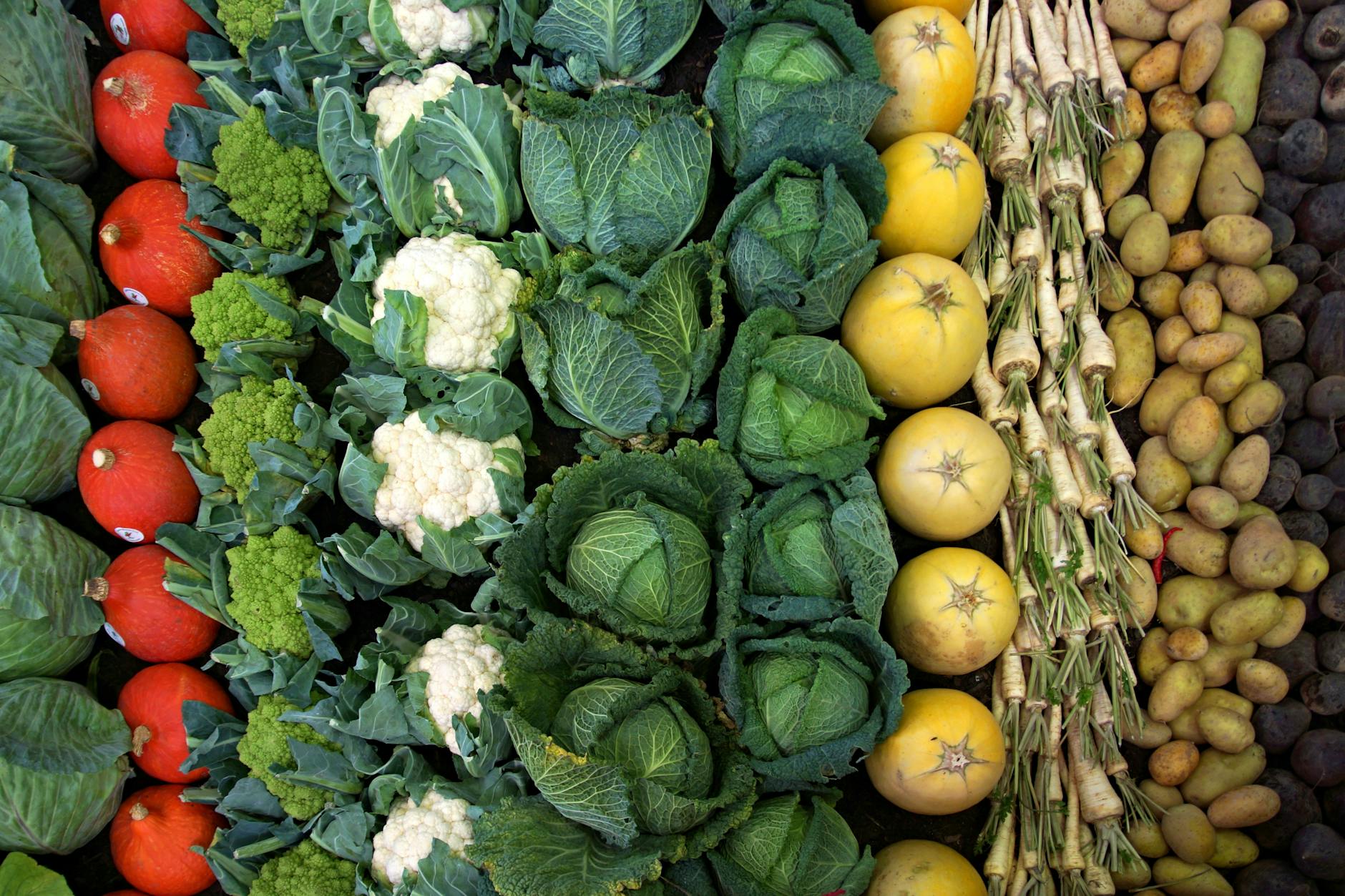 Different Foods Carry Different Risk Levels