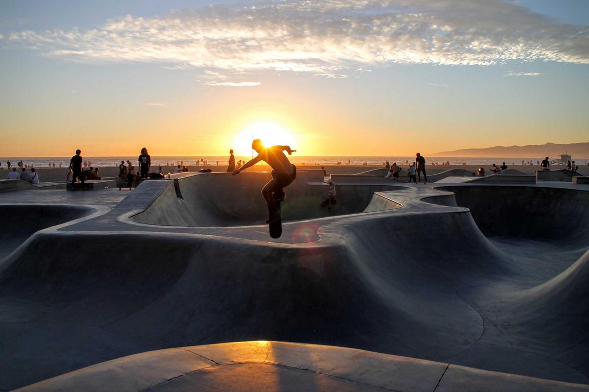 How Long Does Litter-Robot 4 Blink Blue - Featured image