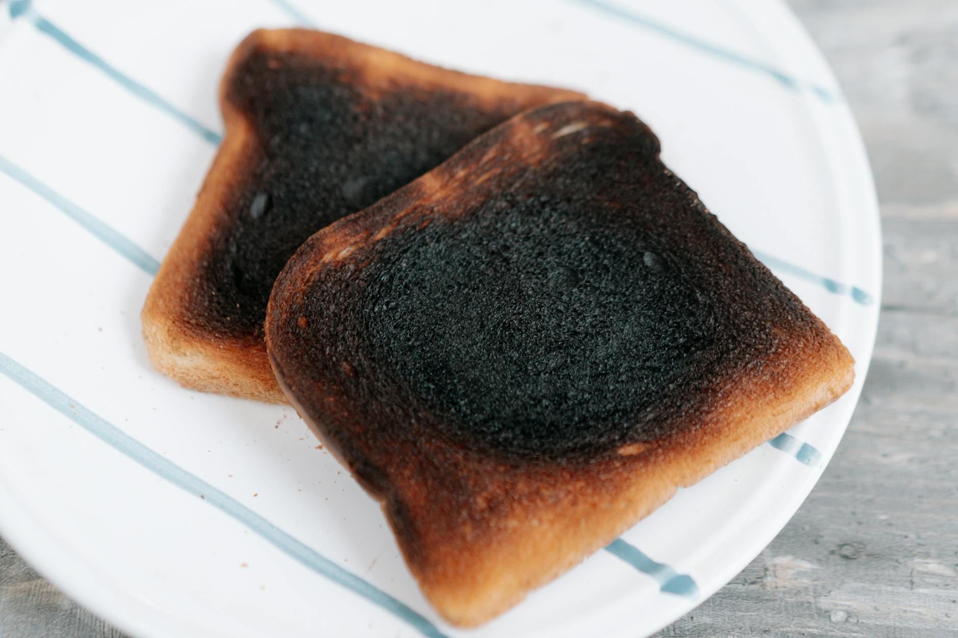 How Much Toast Can Cats Safely Eat?