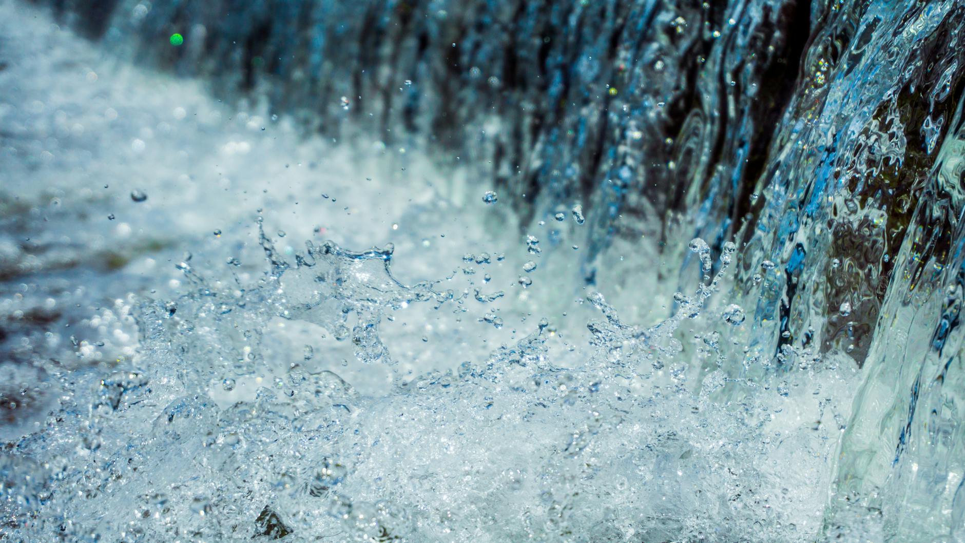 How Stagnant Water Creates a Breeding Ground for Disease