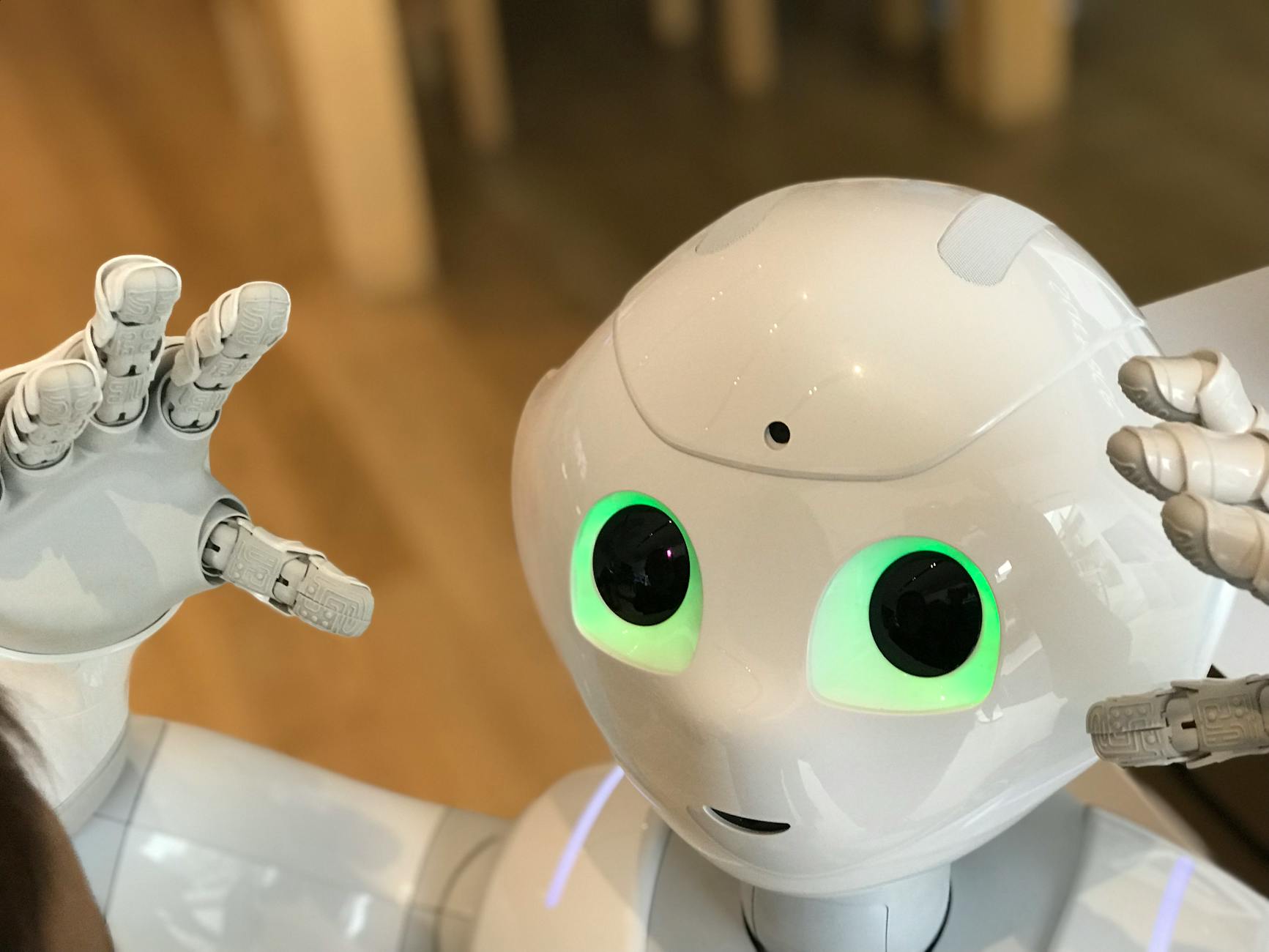How to Properly Pair Your Litter-Robot 4 After Power Reset