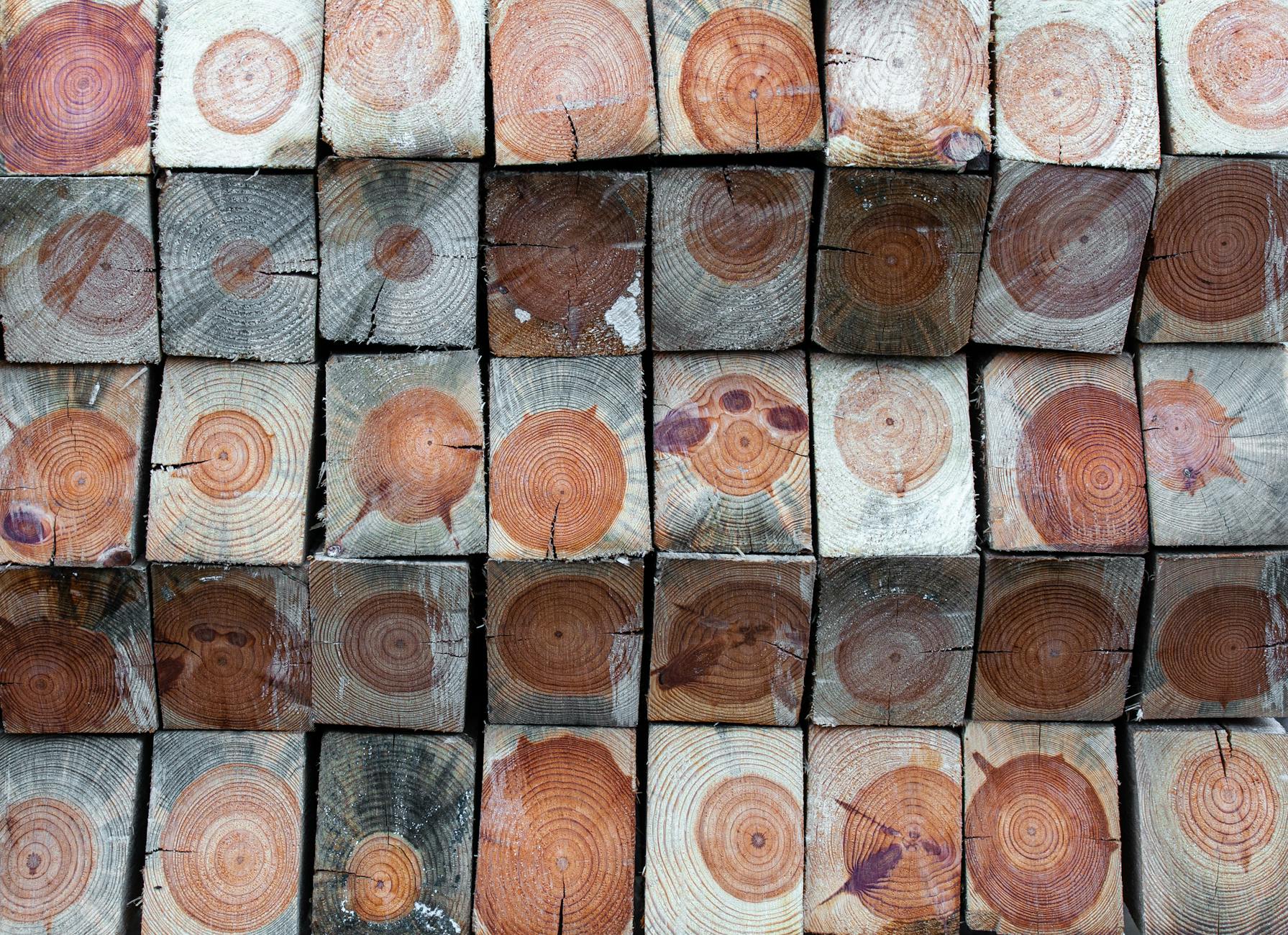 INTESTINAL BLOCKAGES FROM INGESTED WOOD