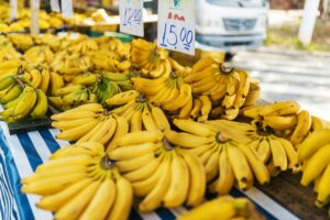 is it safe for cats to eat bananas - Featured image