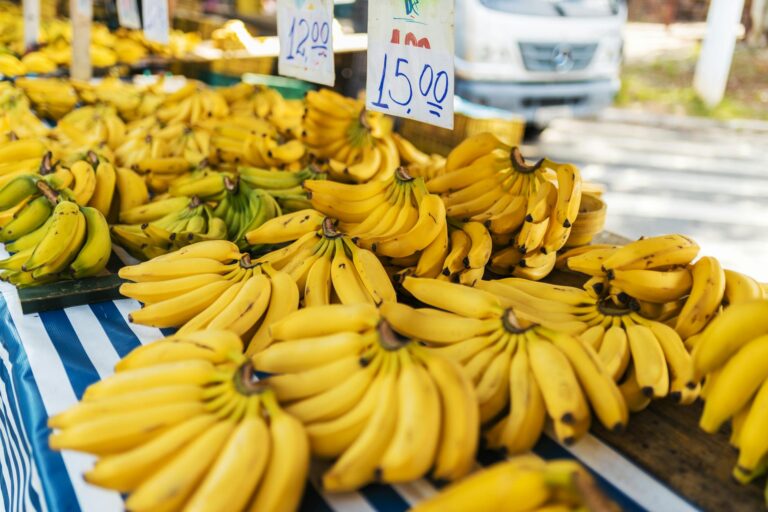 is it safe for cats to eat bananas - Featured image