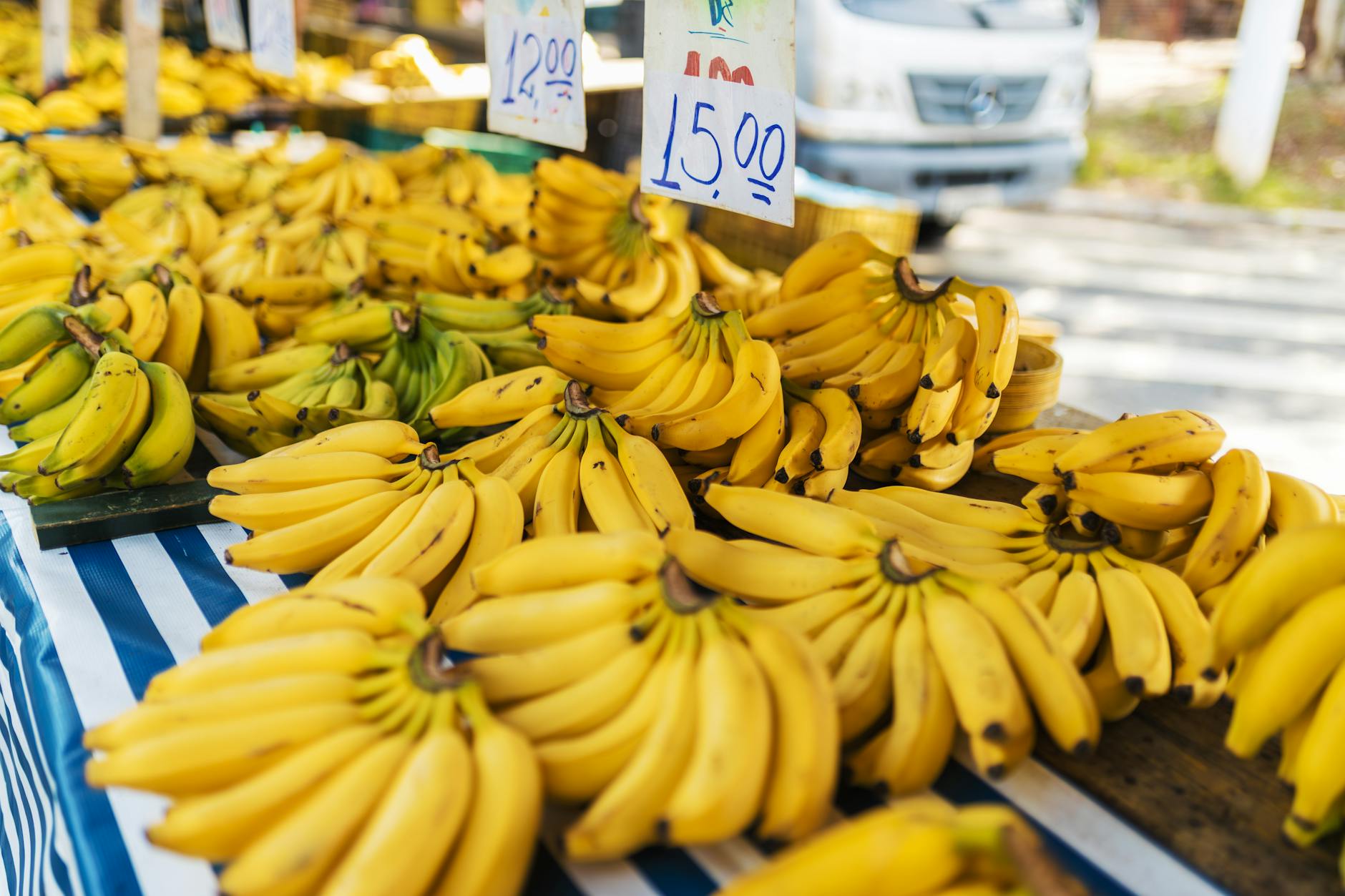 is it safe for cats to eat bananas - Featured image