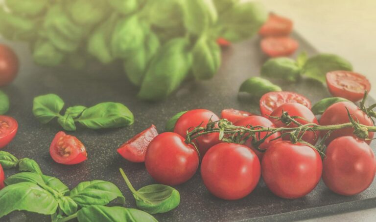 is it safe for cats to eat basil - Featured image