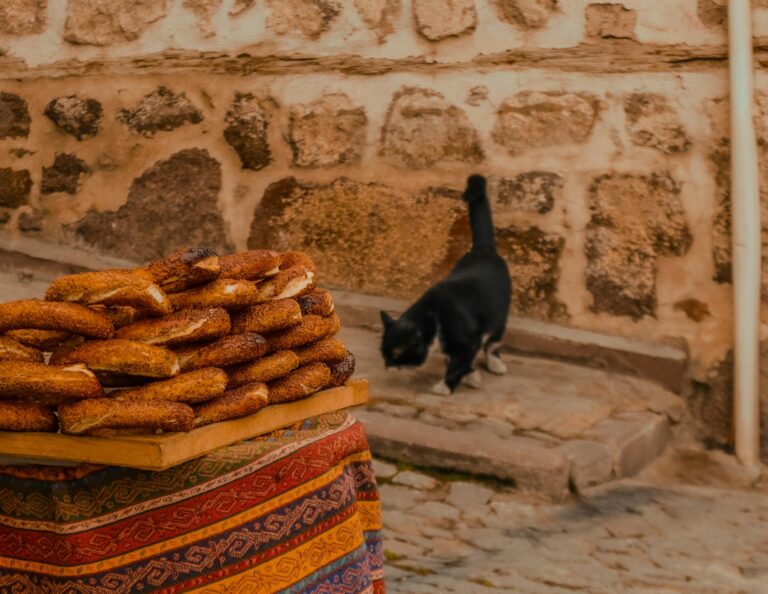 is it safe for cats to eat bread - Featured image
