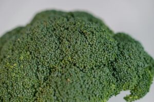 is it safe for cats to eat broccoli - Featured image