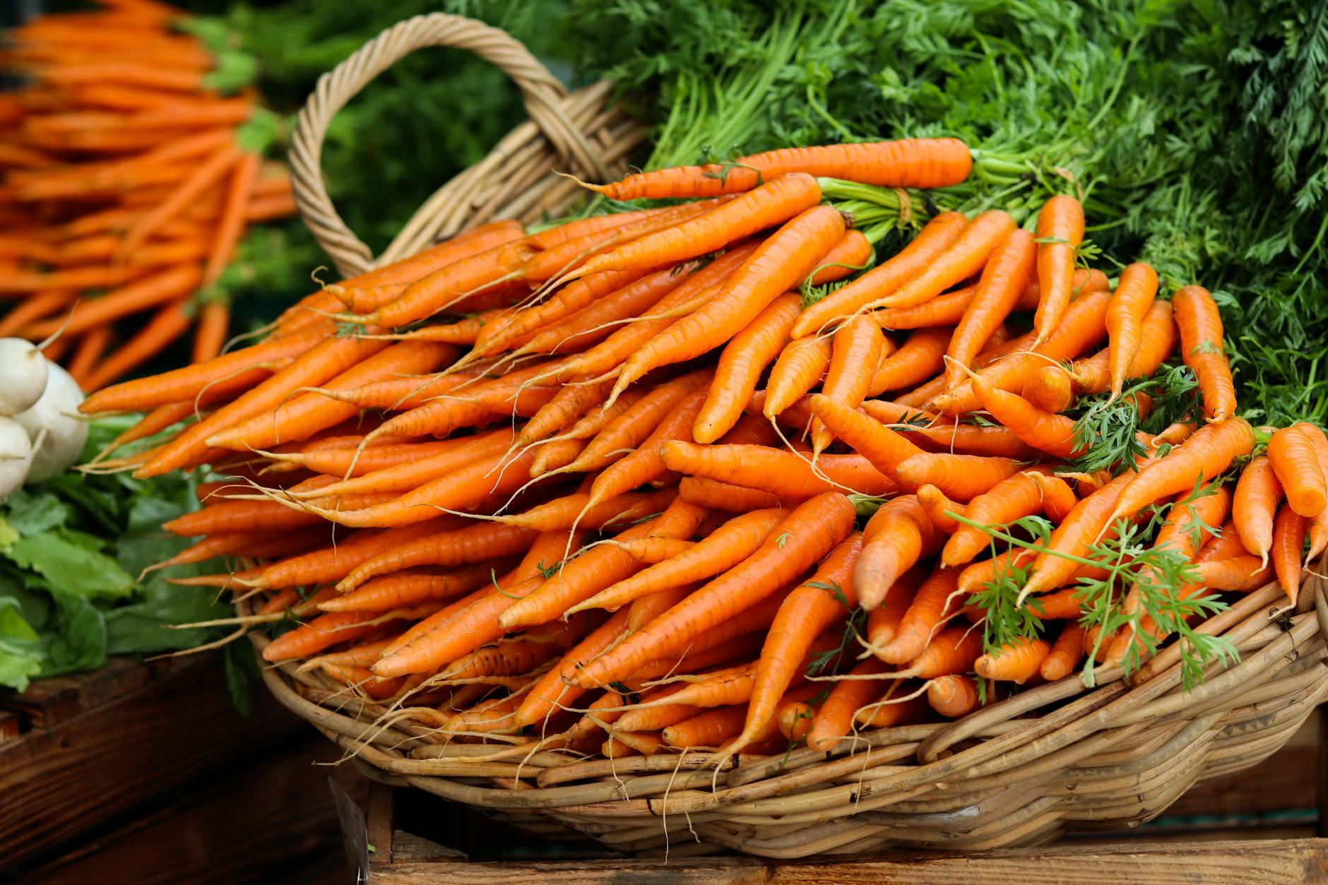 is it safe for cats to eat carrots - Featured image