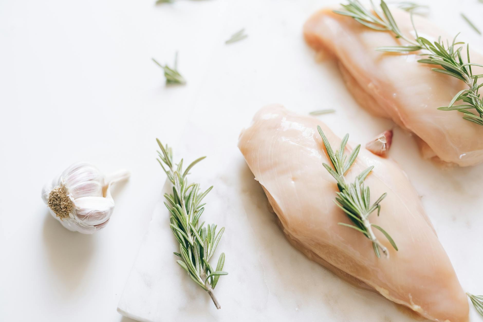 is it safe for cats to eat chicken bones - Featured image