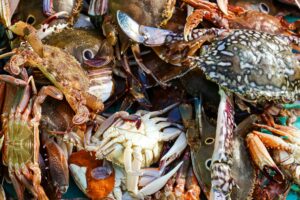 is it safe for cats to eat crab - Featured image