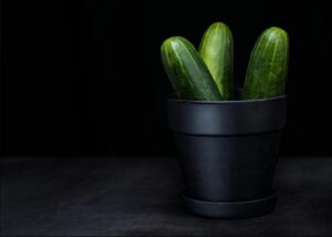 is it safe for cats to eat cucumbers - Featured image