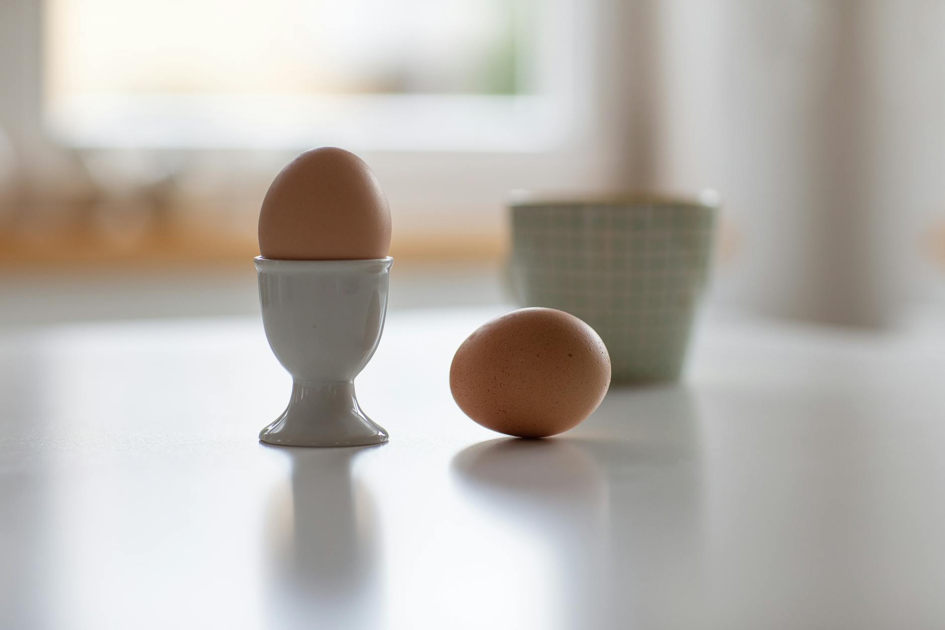 is it safe for cats to eat egg shells - Featured image