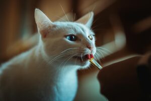 is it safe for cats to eat jam - Featured image