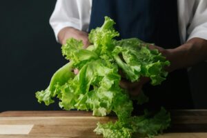 is it safe for cats to eat lettuce - Featured image