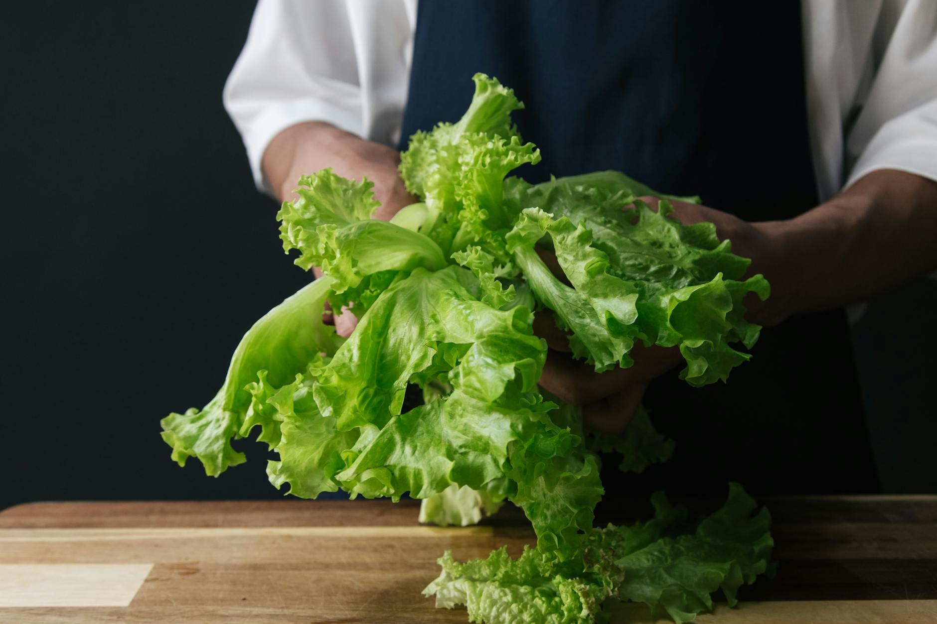is it safe for cats to eat lettuce - Featured image