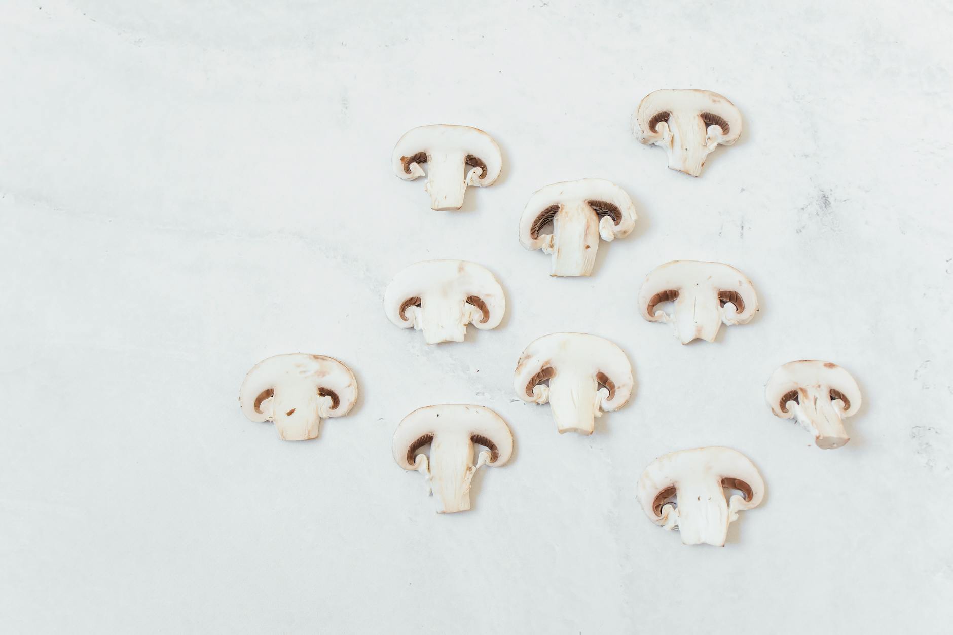 is it safe for cats to eat mushrooms - Featured image