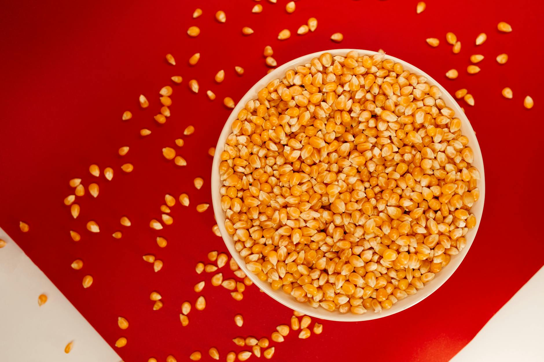 is it safe for cats to eat popcorn with butter - Featured image