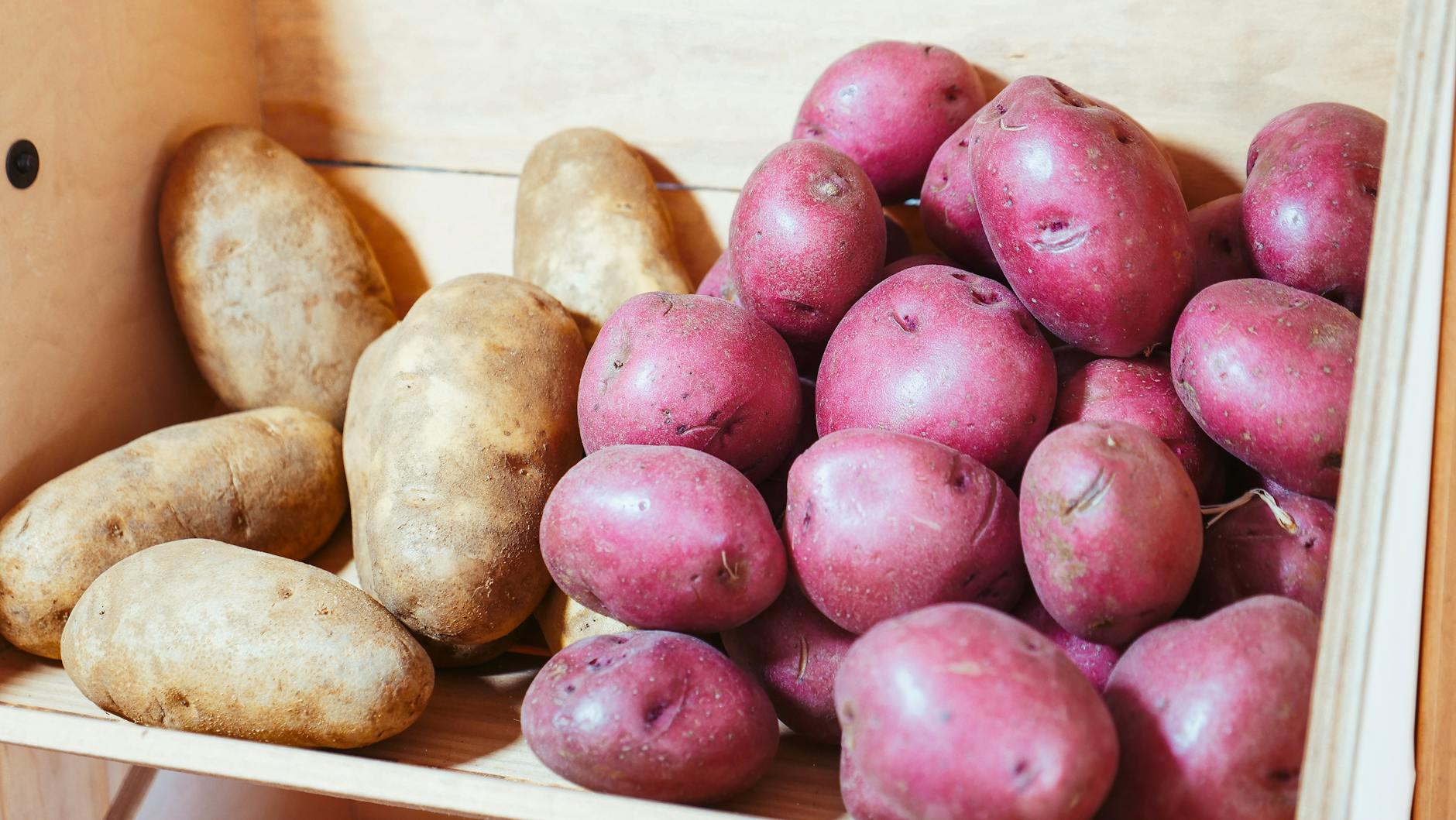 is it safe for cats to eat potatoes - Featured image
