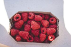 is it safe for cats to eat raspberries - Featured image