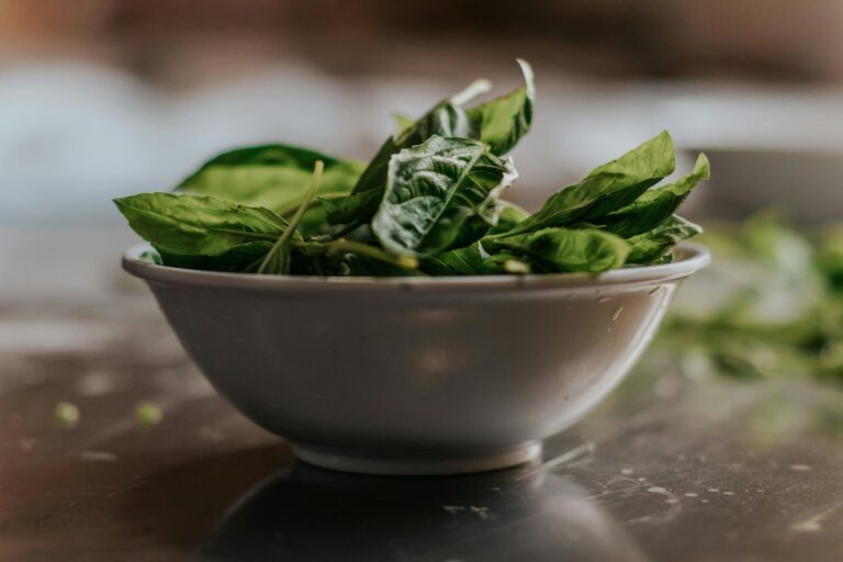 is it safe for cats to eat spinach - Featured image