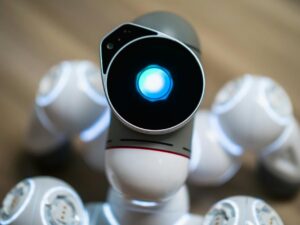 Litter-Robot 4 Blinking Blue and Refusing to Start - Featured image