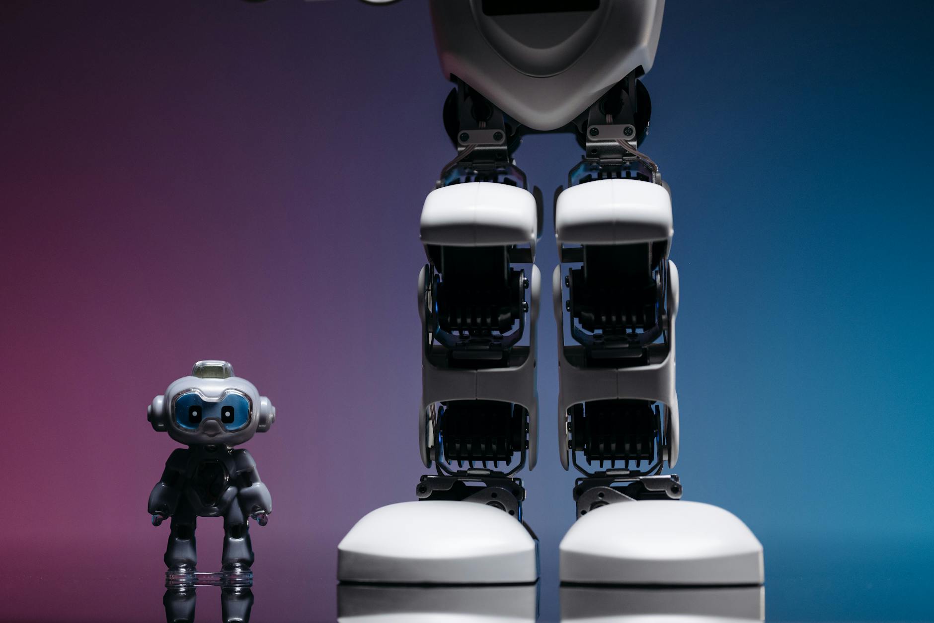 Litter-Robot 4 Blinking Blue During Setup - Featured image