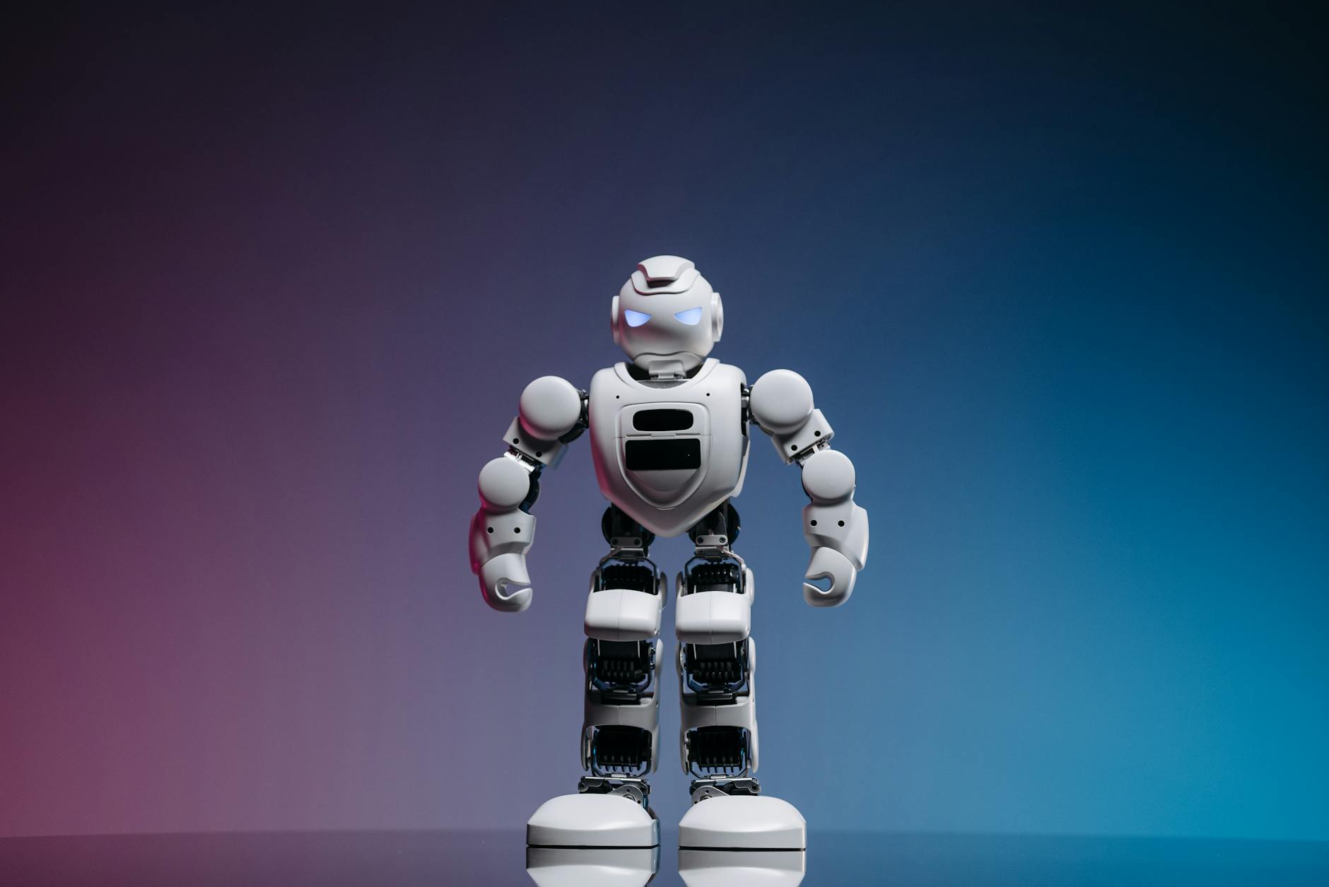 Litter-Robot 4 Blue Light Blinking Every Few Seconds - Featured image