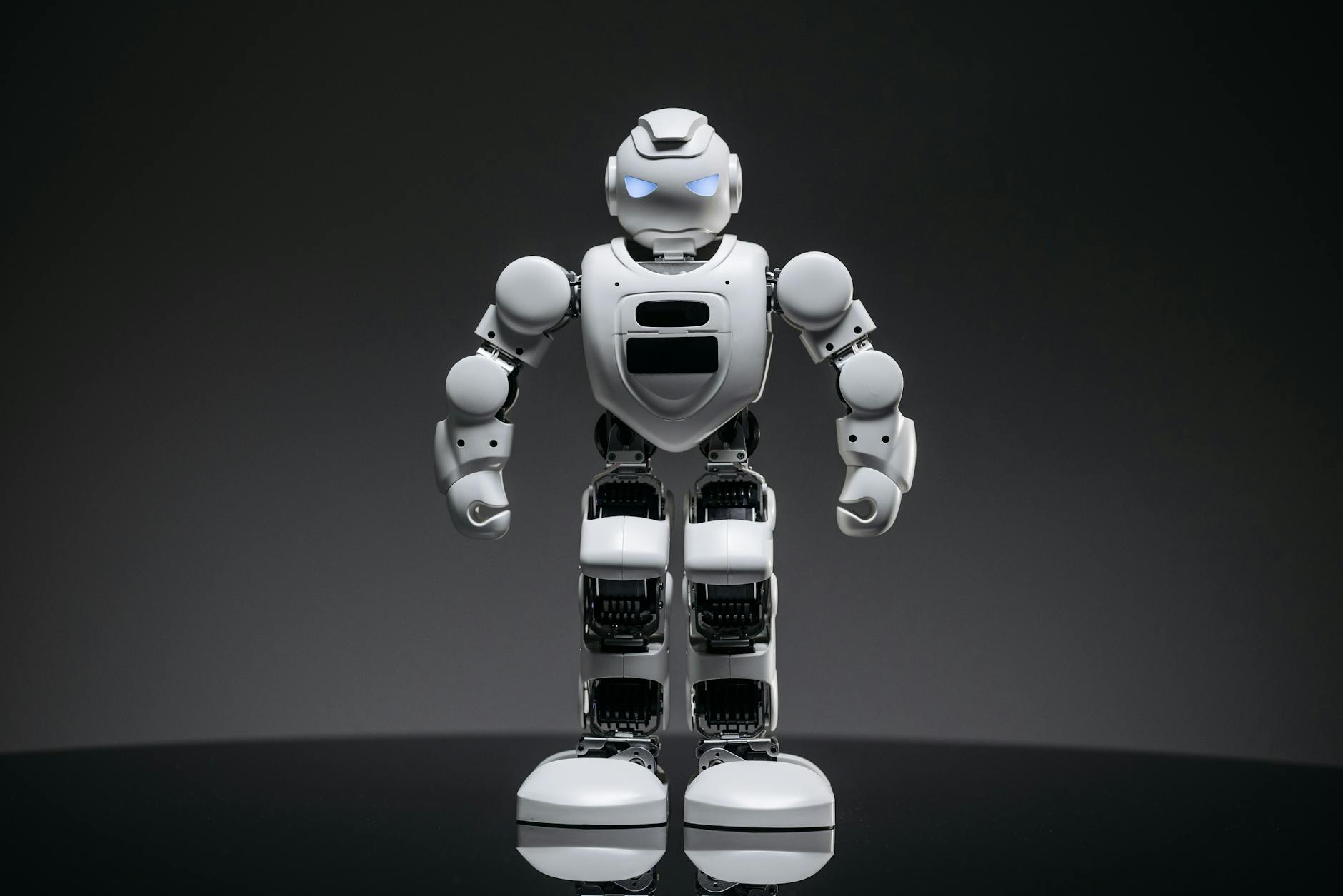 Litter-Robot 4 Blue Light Complaints Rise Online - Featured image