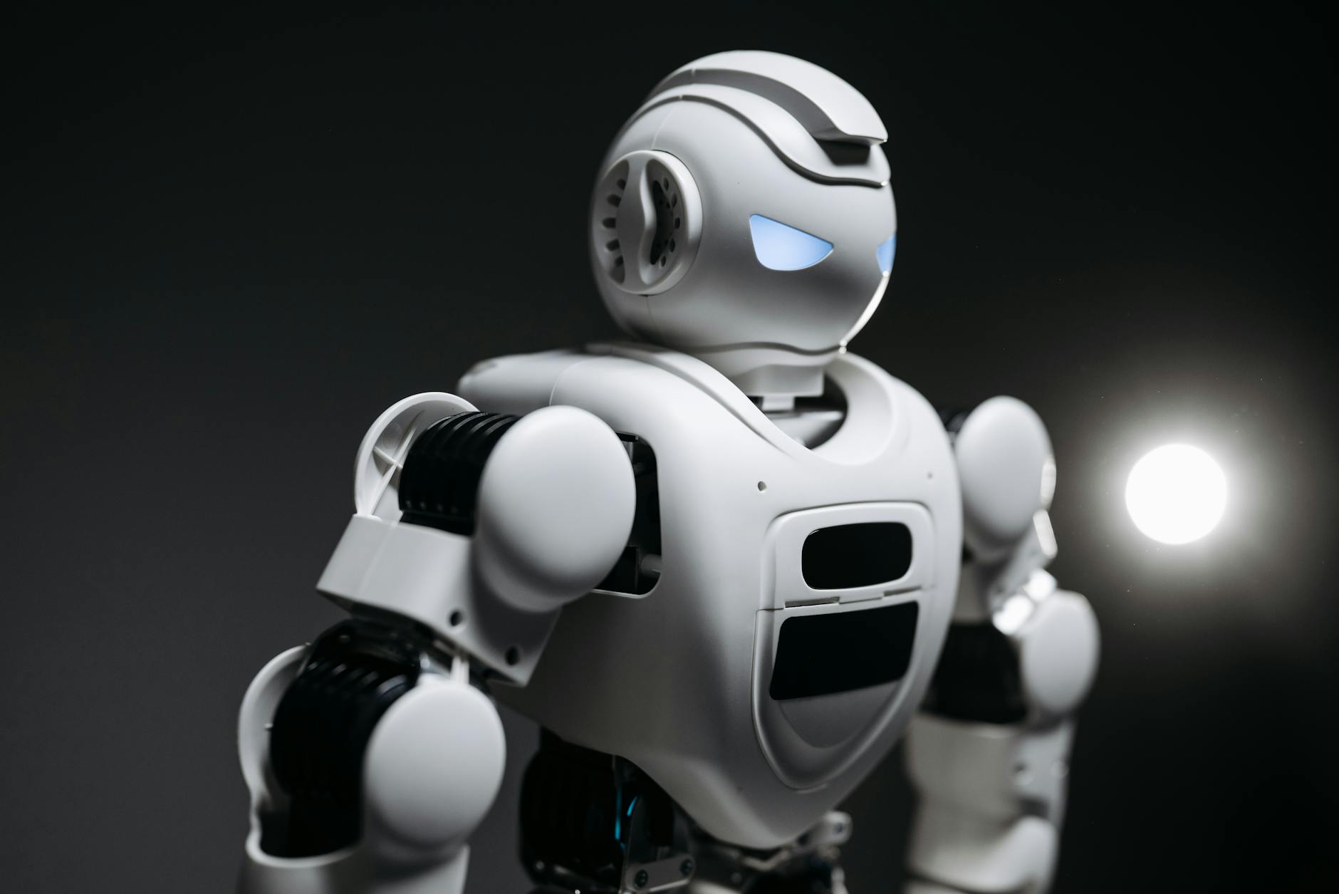 Litter-Robot 4 Blue Light Issue Could Be Sensor Related - Featured image