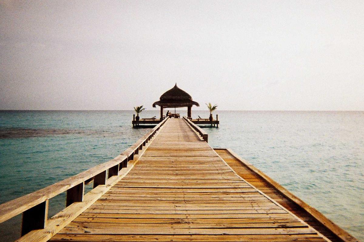 Litter-Robot 4 Error Lights Explained for Beginners - Featured image
