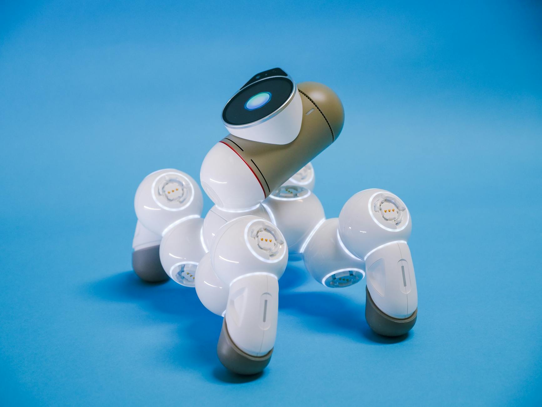 Litter-Robot 4 Flashing Blue After Deep Cleaning - Featured image