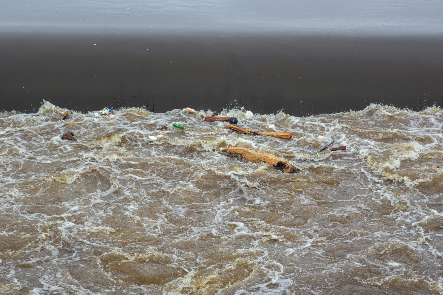 Mercury and Environmental Contaminants in Fish