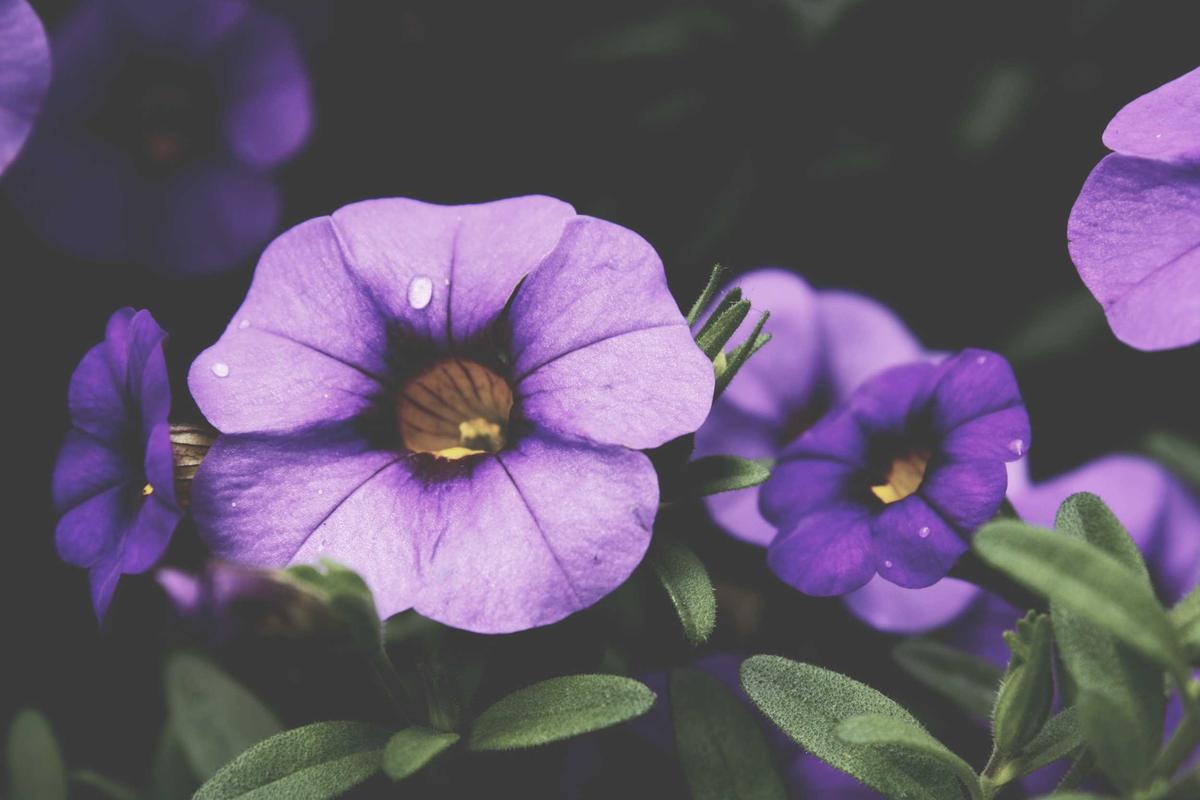 Recognizing Signs of Infection and Complications