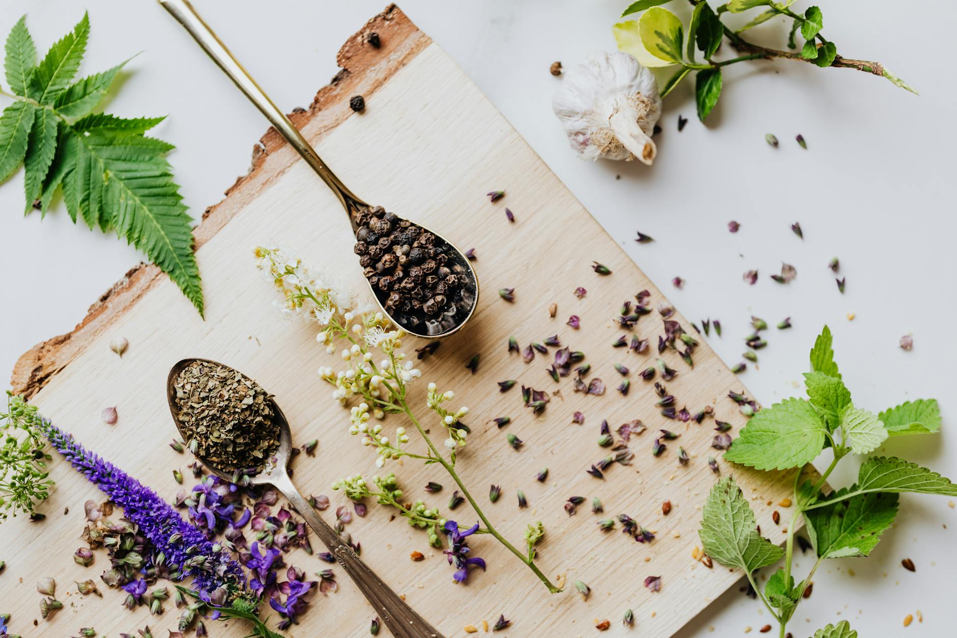 SAFE HERBS VERSUS DANGEROUS ONES FOR CATS