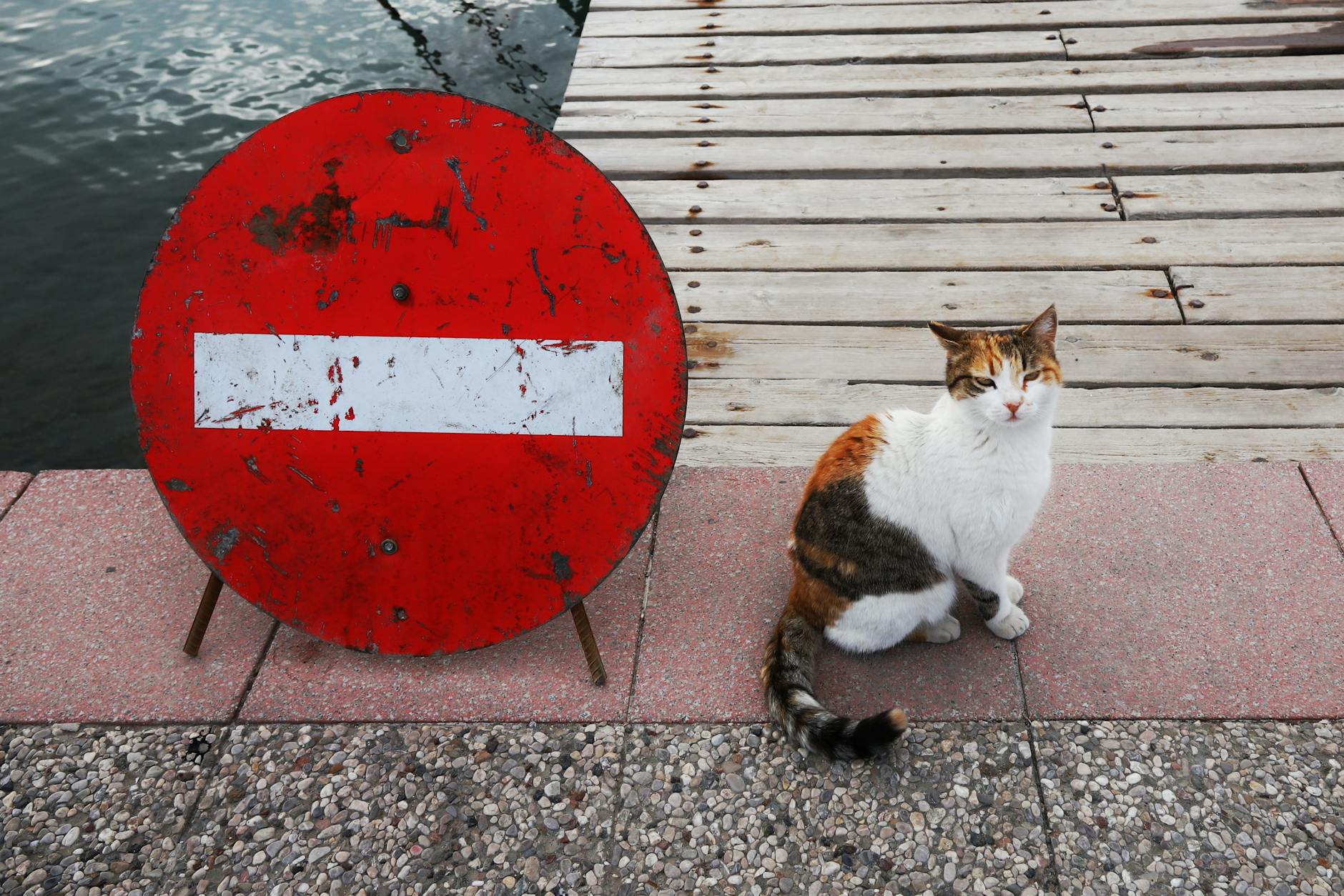 Signs of Blockage and When to Seek Help