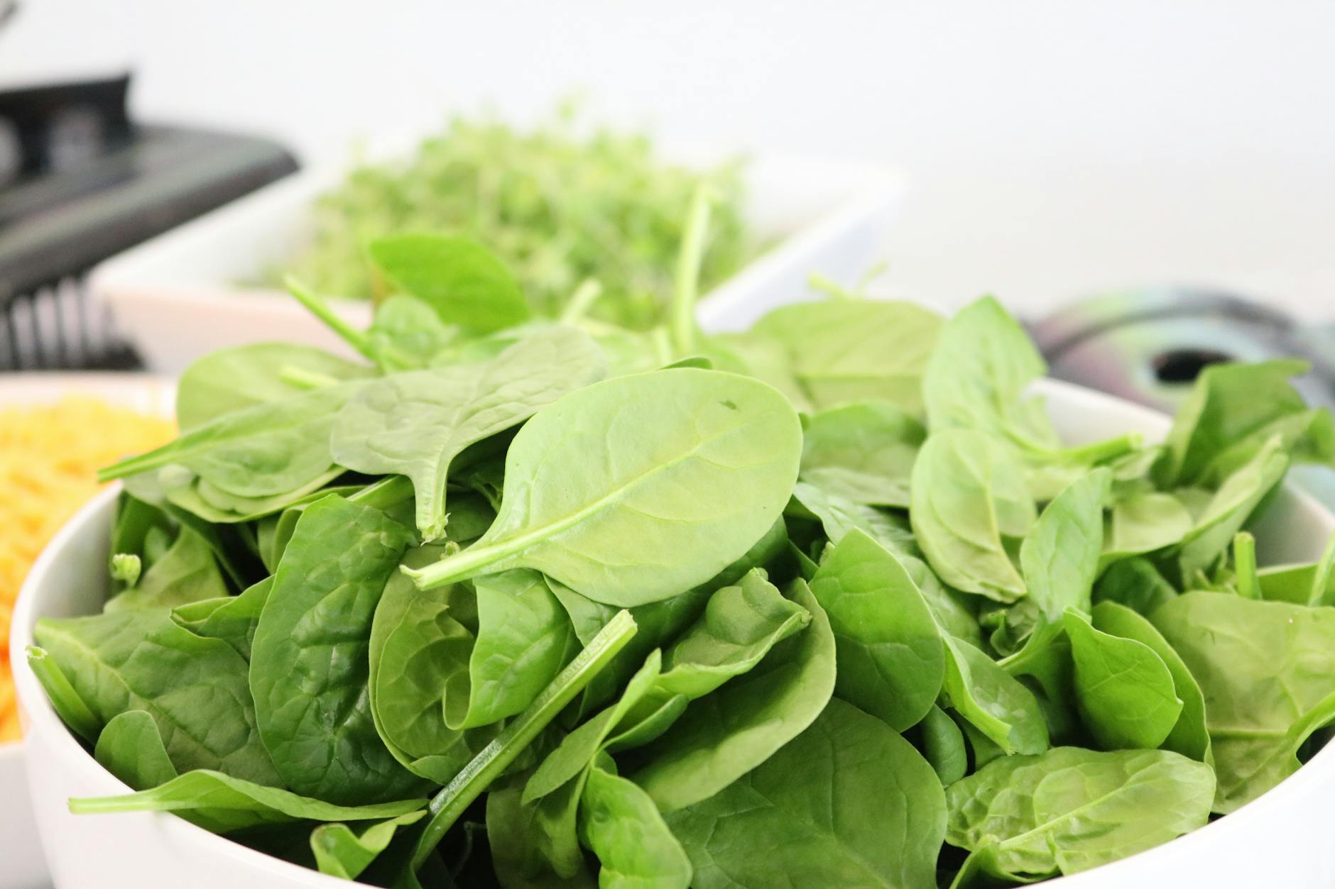 Spinach and Cats with Urinary Problems