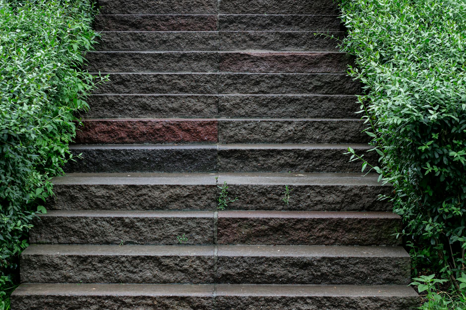 Step-by-Step Reset Procedure and What to Expect